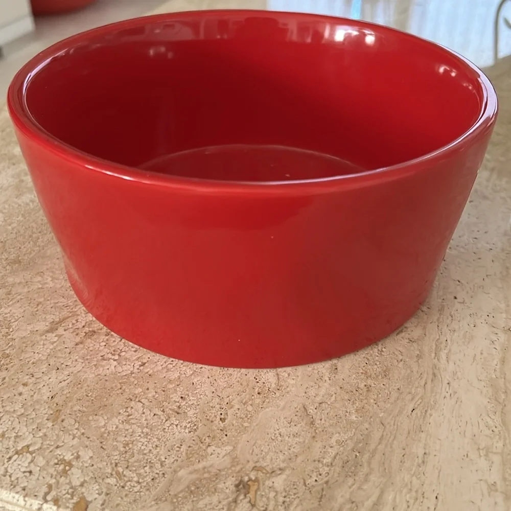 Brand New Ceramic Dog Bowl